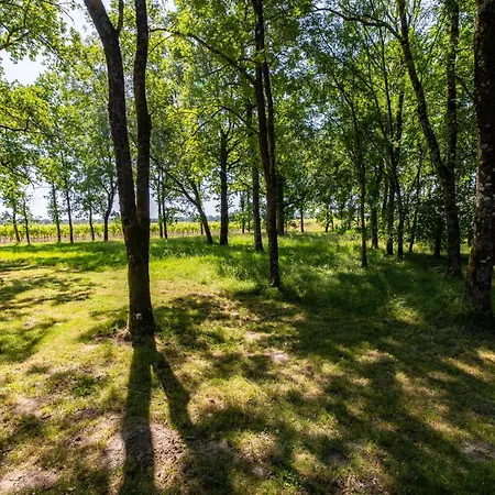 L'hermitage #vignoble #havre De Paix Hébergement de vacances *