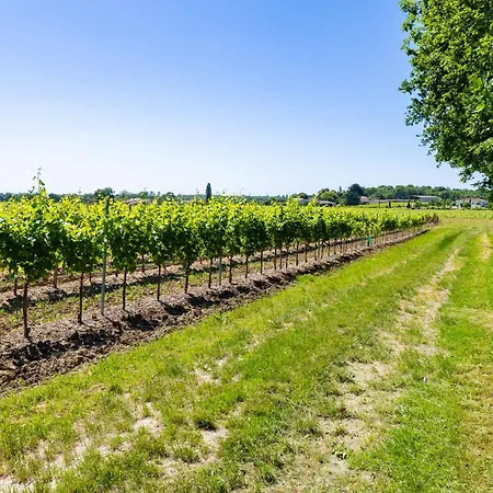 Hébergement de vacances L'hermitage #vignoble #havre De Paix *